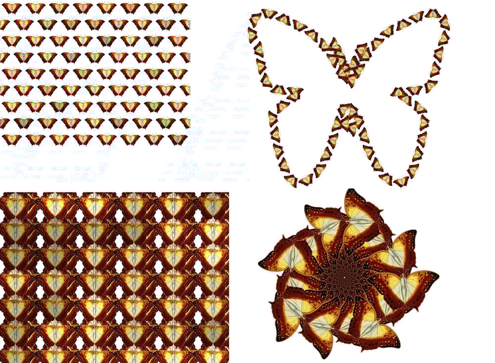 Butterfly - image 1 - student project