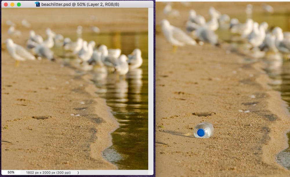 Beach - image 1 - student project