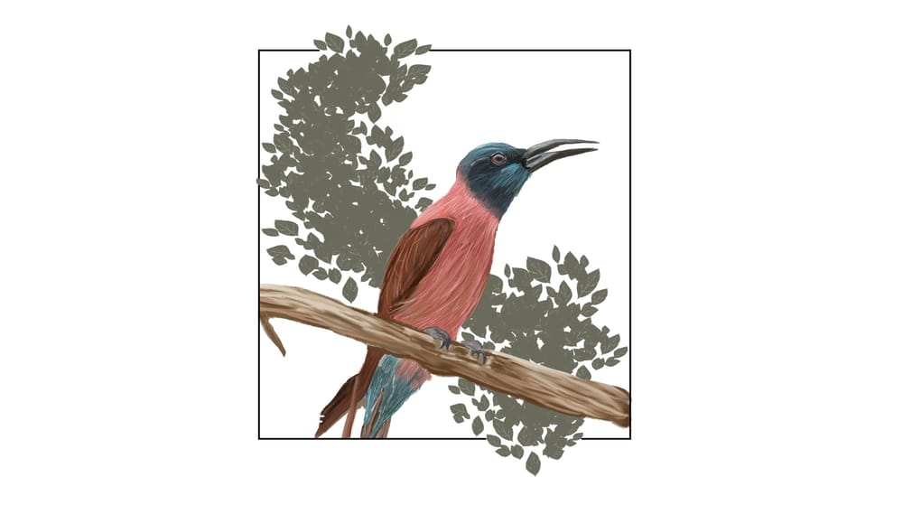 Learn to Draw and Paint in Photoshop - image 2 - student project