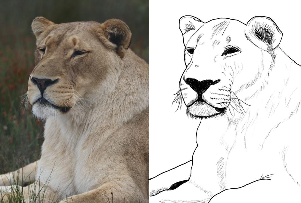 Learn to Draw and Paint in Photoshop - image 1 - student project