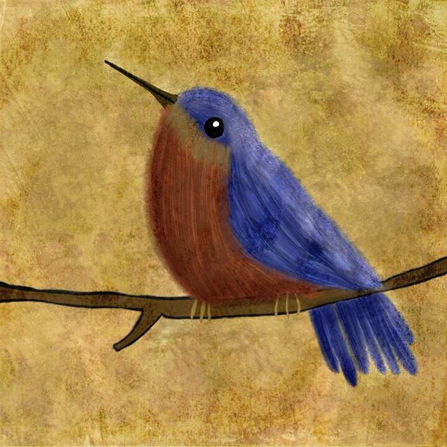 Draw Birds - image 1 - student project