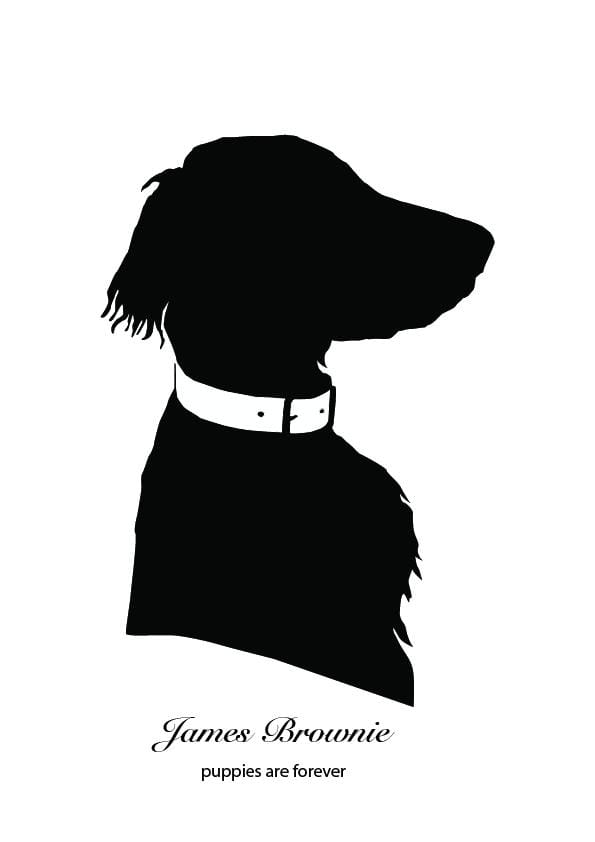 Silhouettes - image 1 - student project