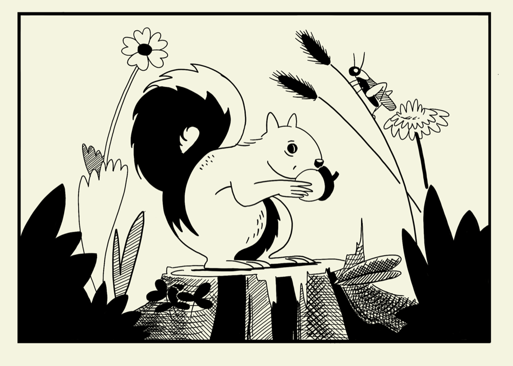 Explore Inking Assignment - Hungry Squirrel - image 7 - student project