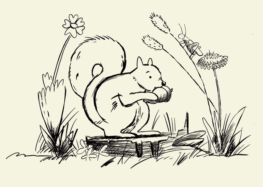 Explore Inking Assignment - Hungry Squirrel - image 4 - student project