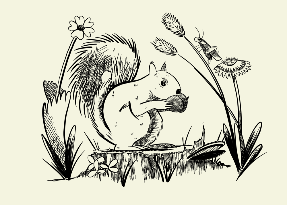 Explore Inking Assignment - Hungry Squirrel - image 8 - student project