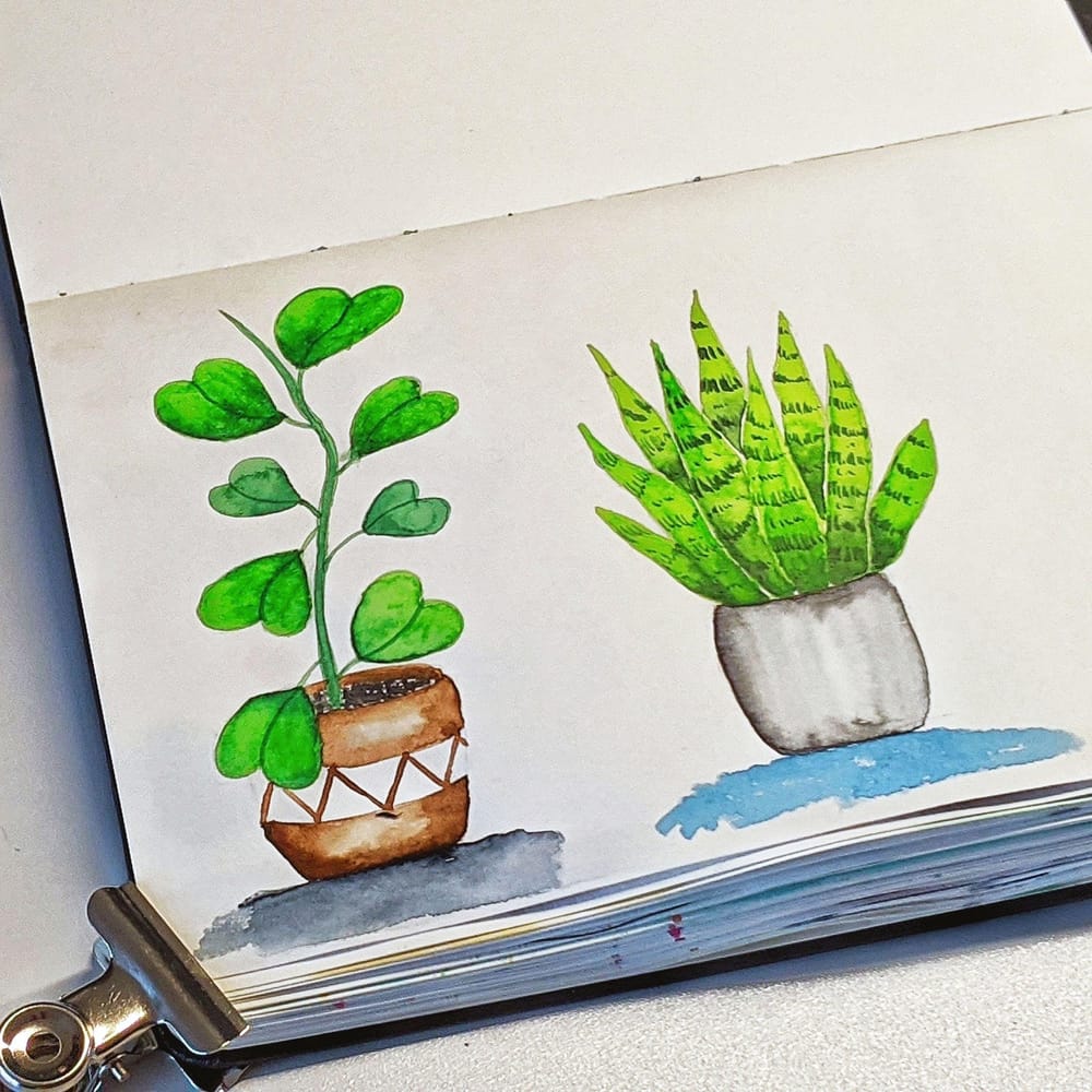 Gorgeous class! - image 2 - student project