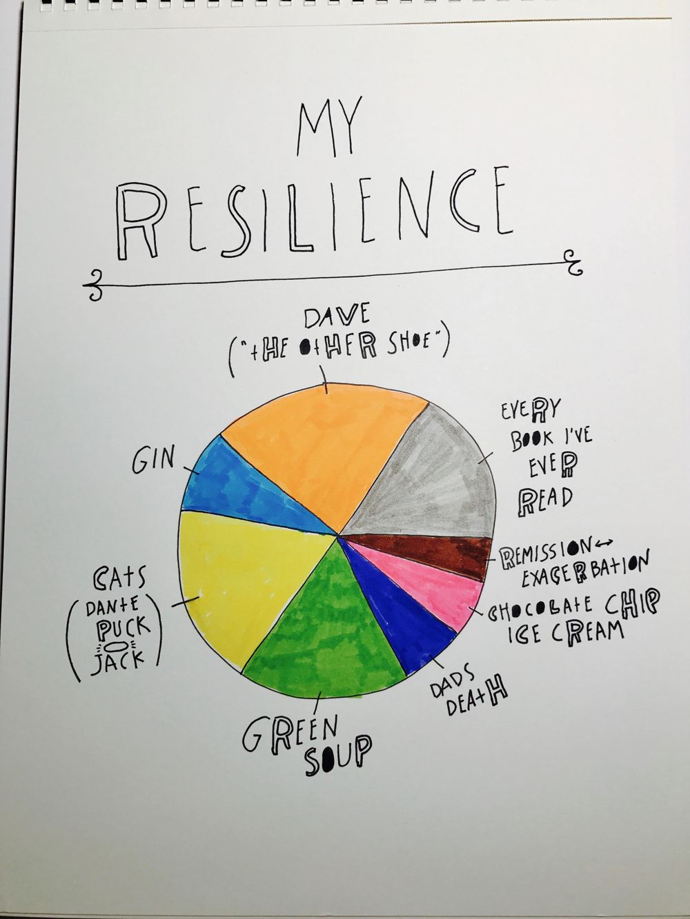 My Resilience Pie - image 1 - student project