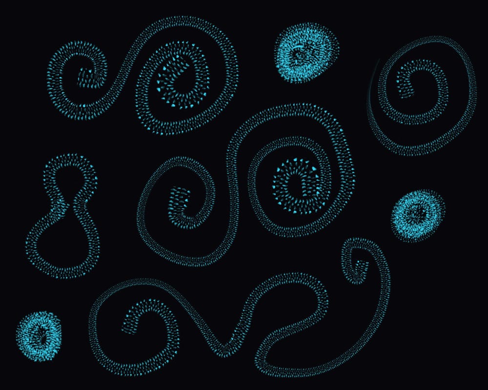 Digital brushes - image 5 - student project