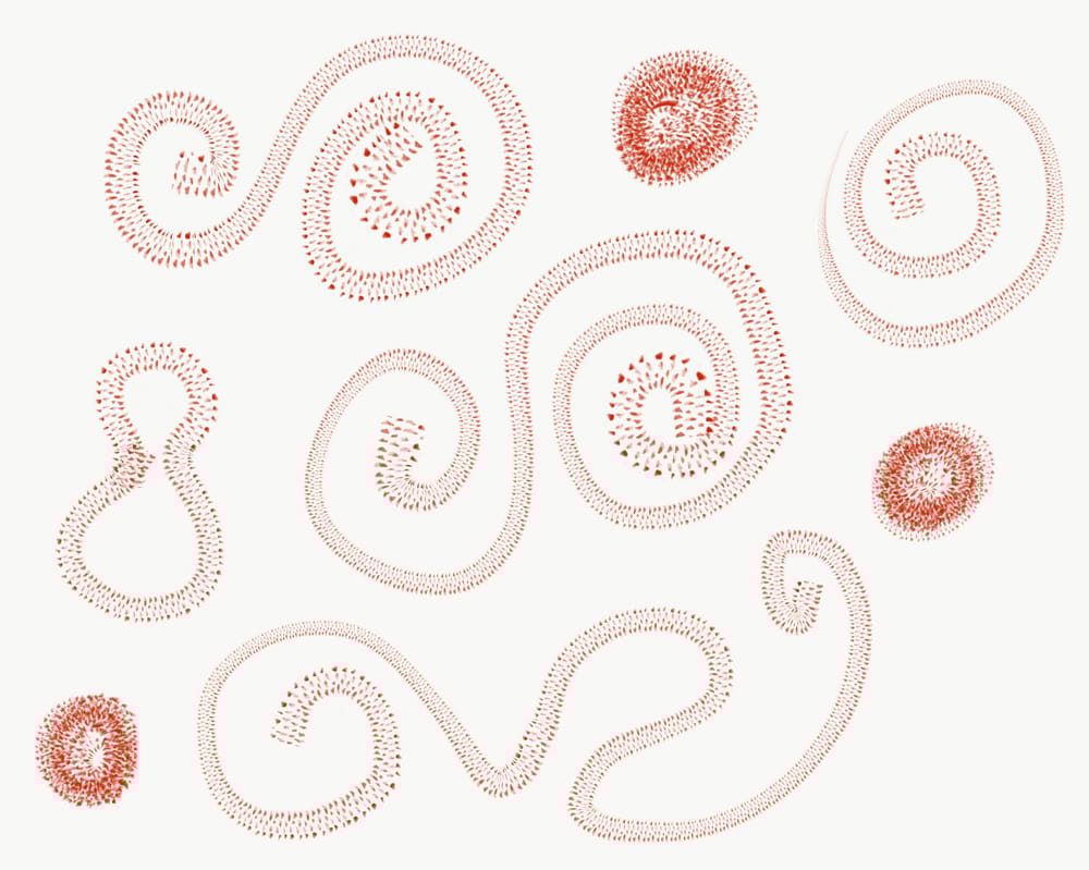 Digital brushes - image 4 - student project