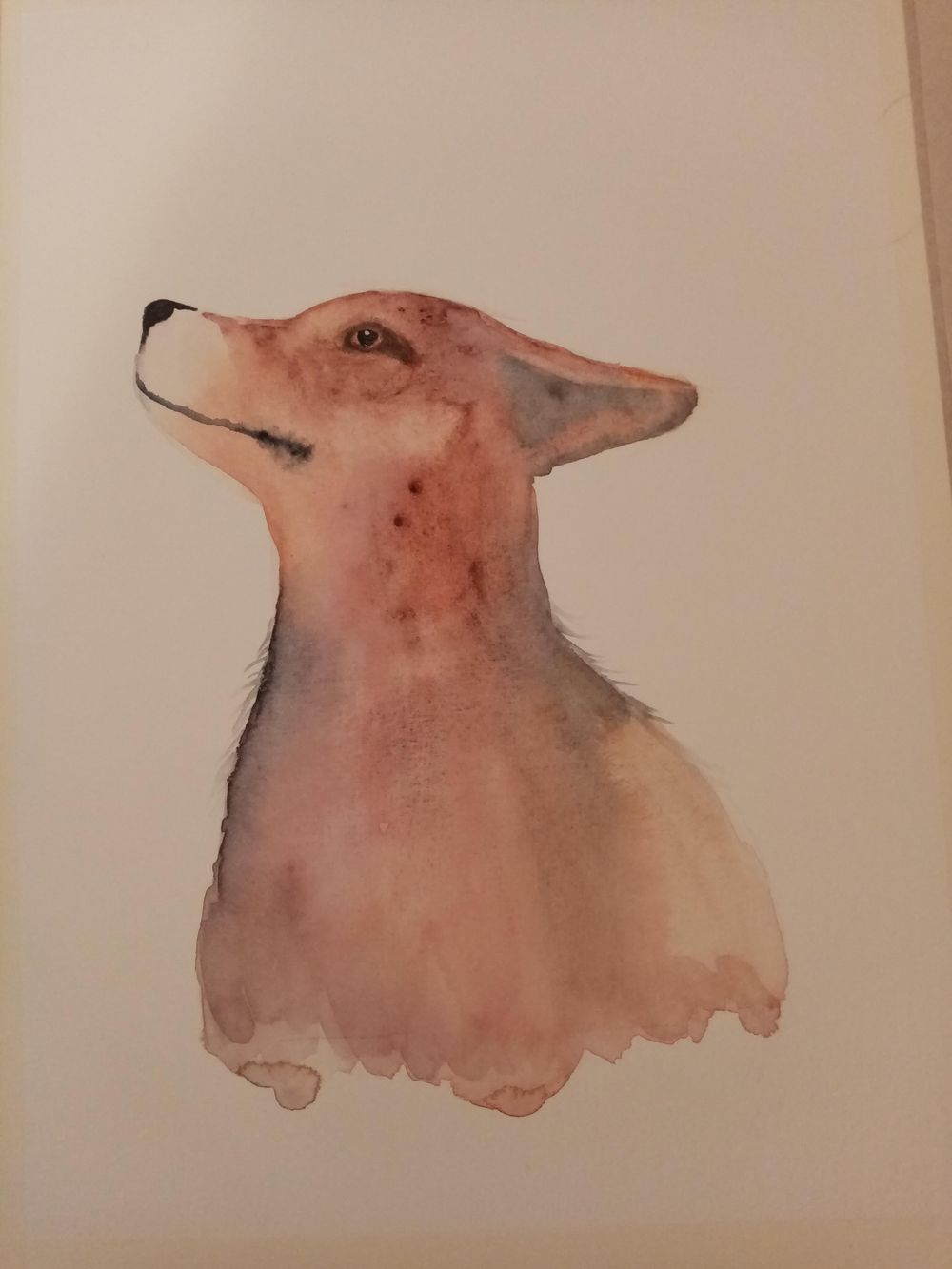 Mr Fox - image 1 - student project