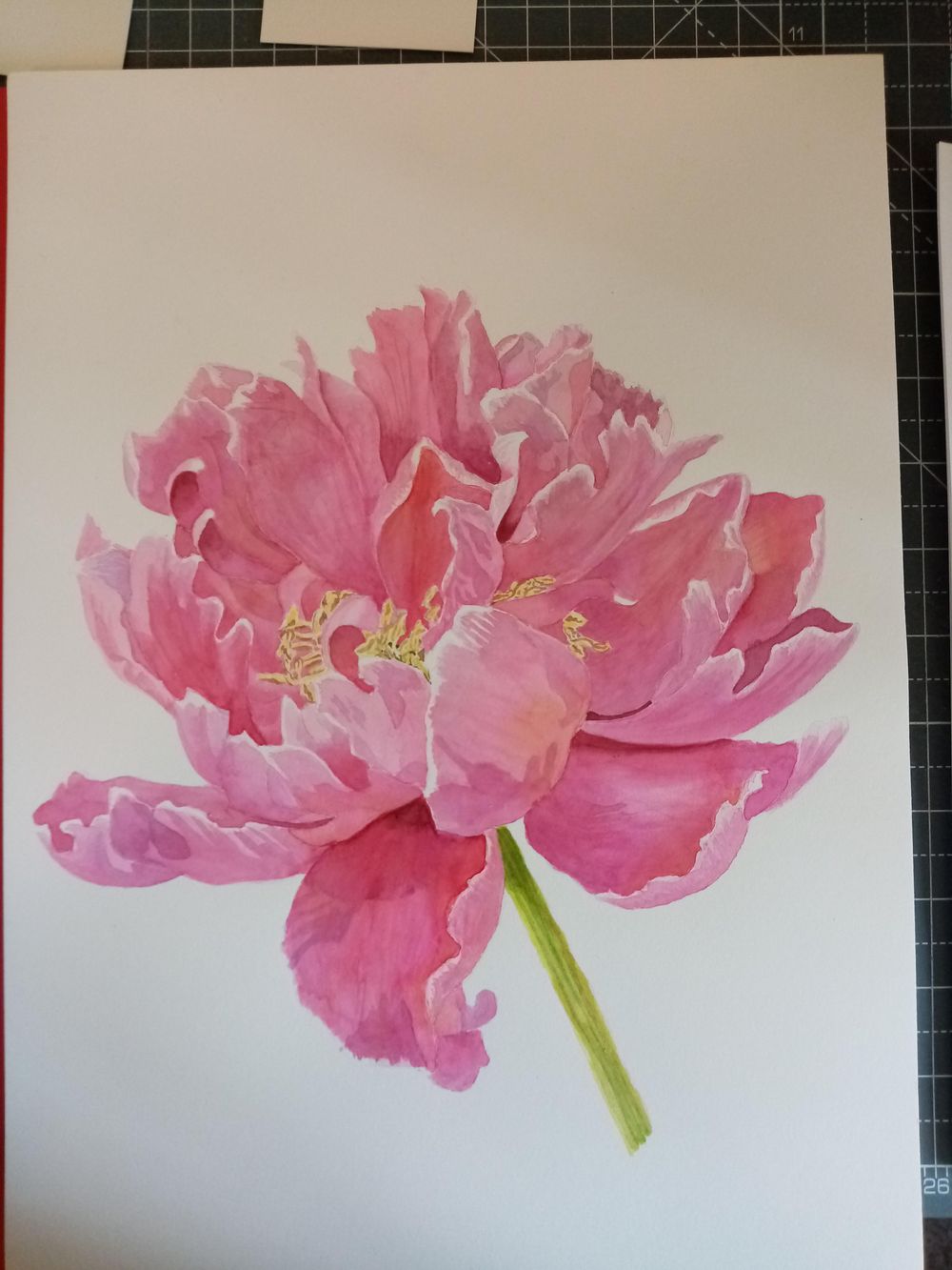 Watercolour Peony - image 1 - student project