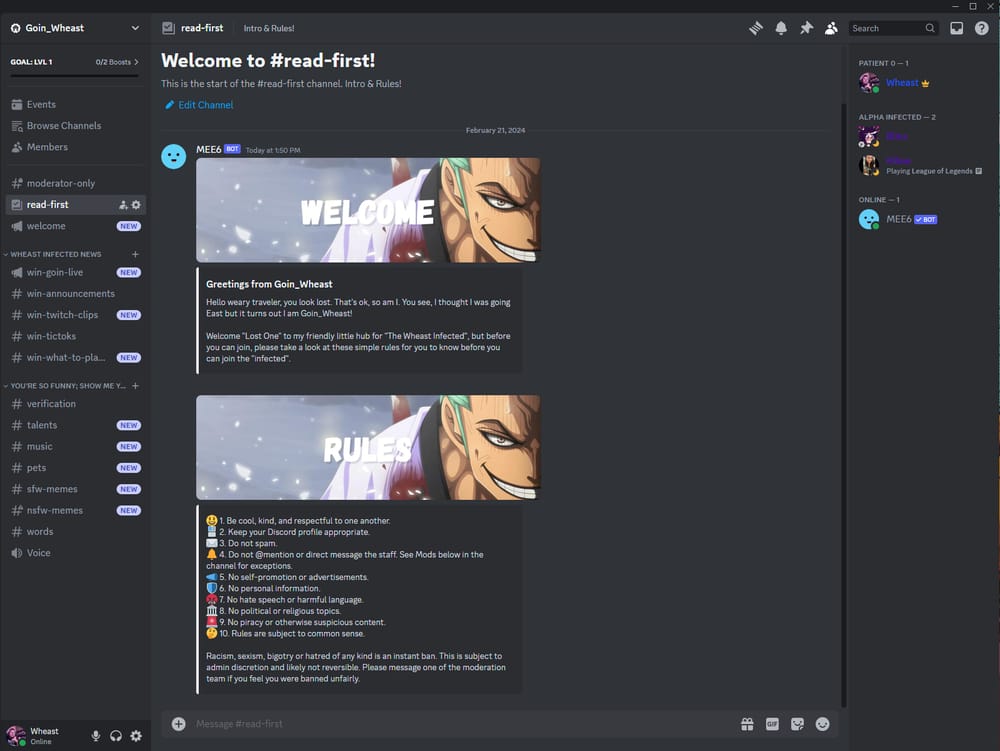 Twitch Discord - image 1 - student project