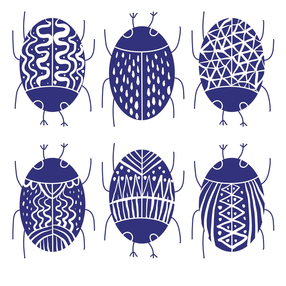 Sample Project: Bug Sketchbook - image 8 - student project