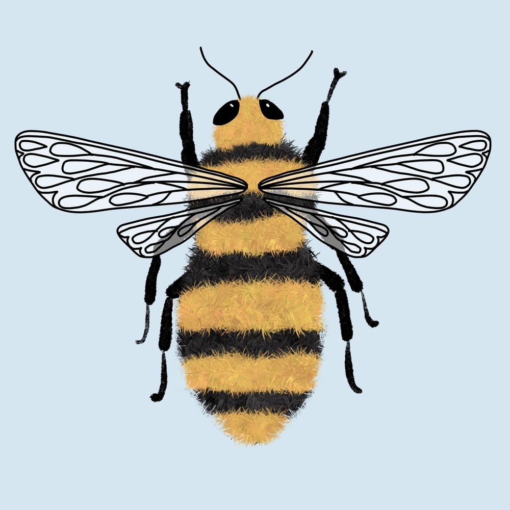 Sample Project: Bug Sketchbook - image 7 - student project