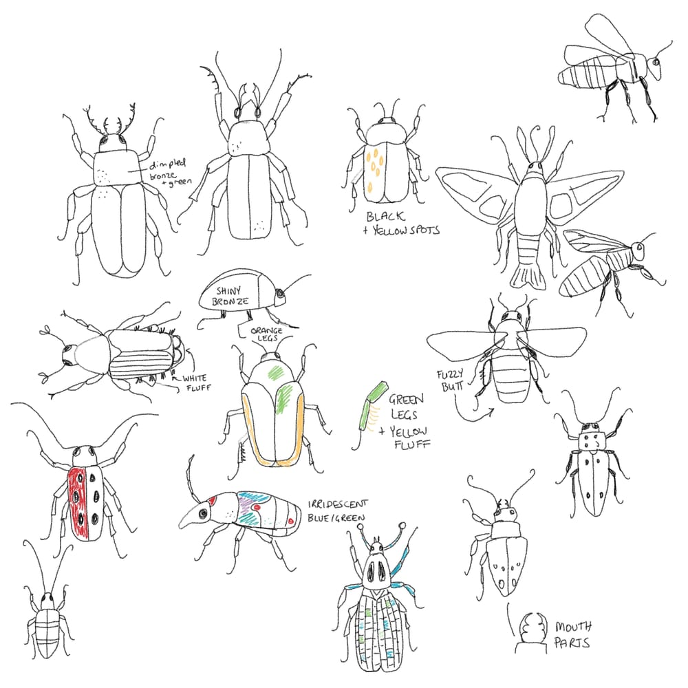 Sample Project: Bug Sketchbook - image 1 - student project