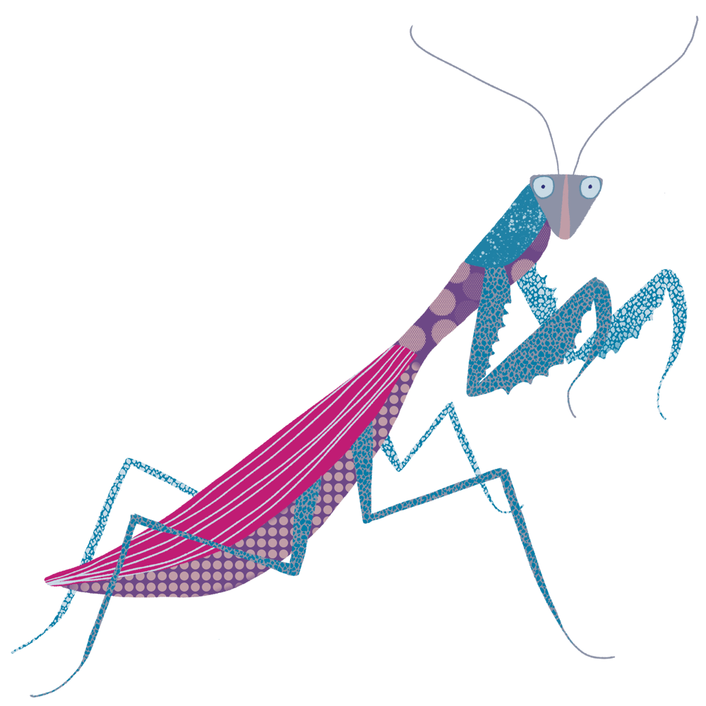 Sample Project: Bug Sketchbook - image 10 - student project