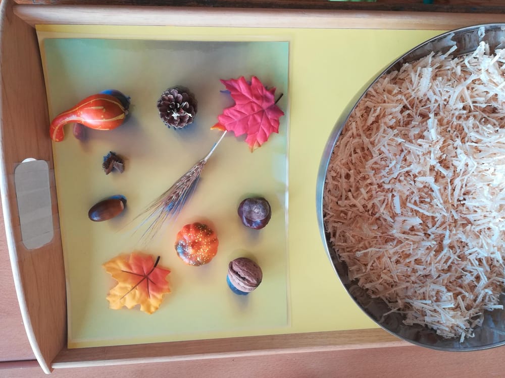 Sinne | Skillshare Student Project