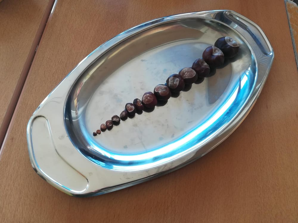 Sinne | Skillshare Student Project