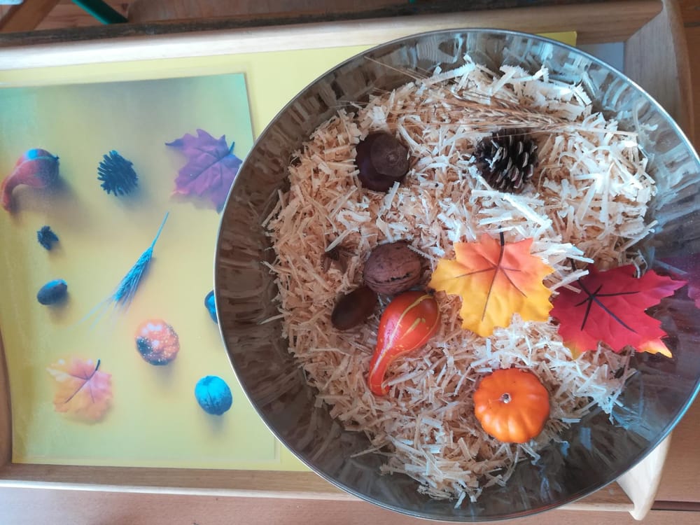 Sinne | Skillshare Student Project