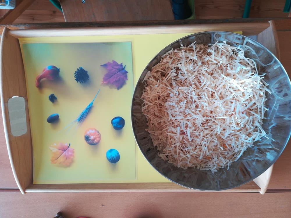 Sinne | Skillshare Student Project