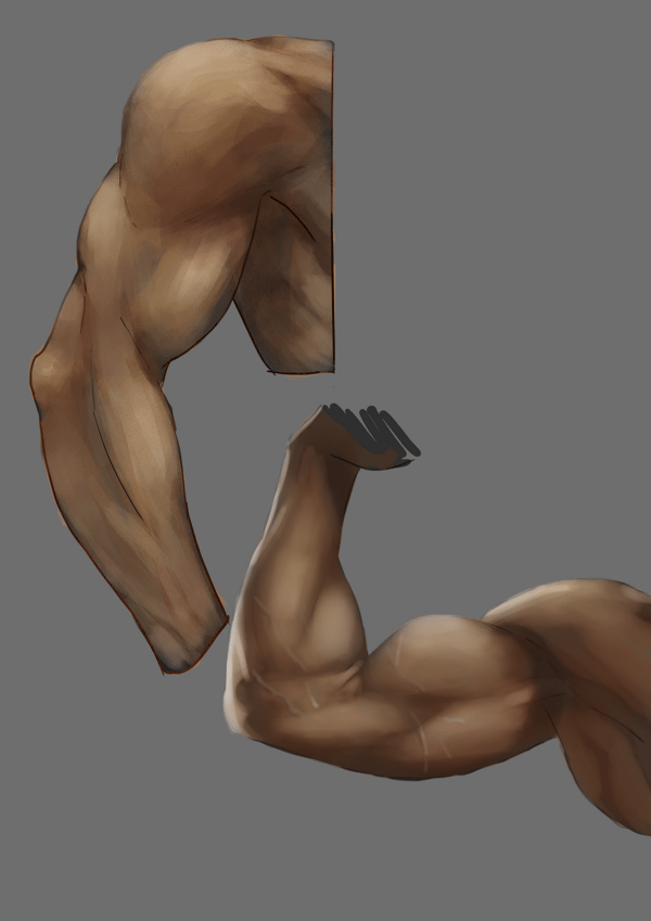 Body Part Studies - image 1 - student project