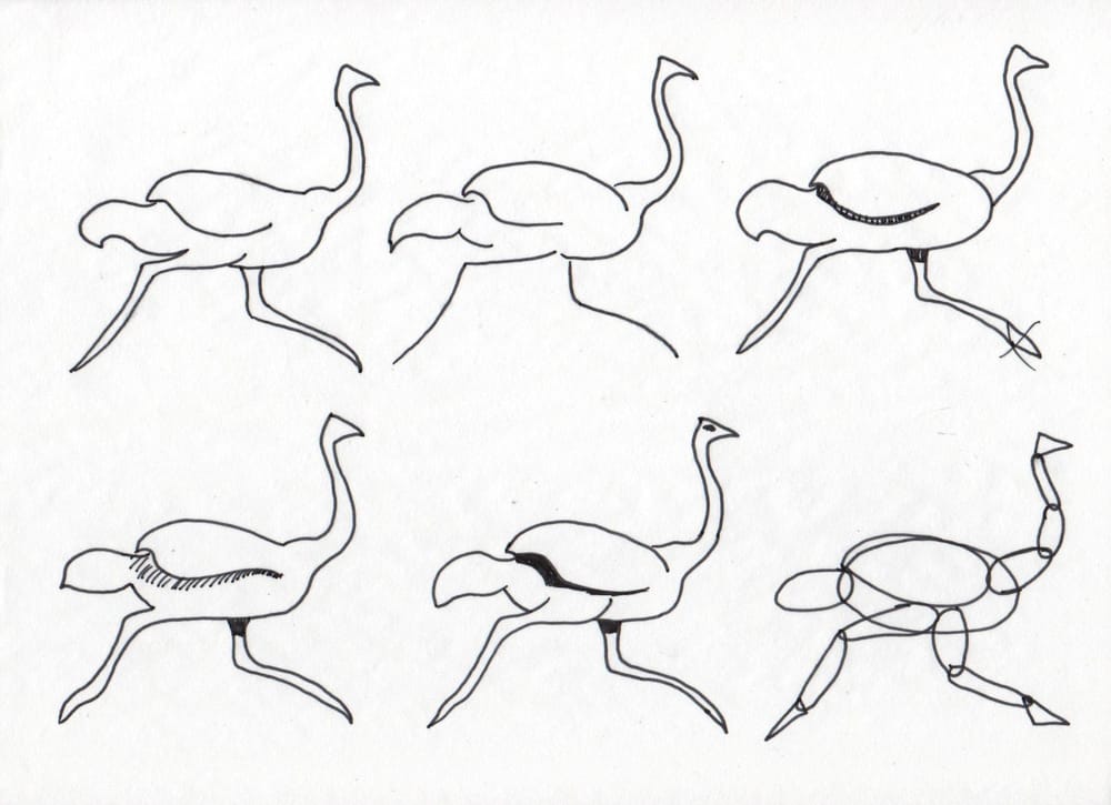 Ola Ostrich is Fast - image 8 - student project