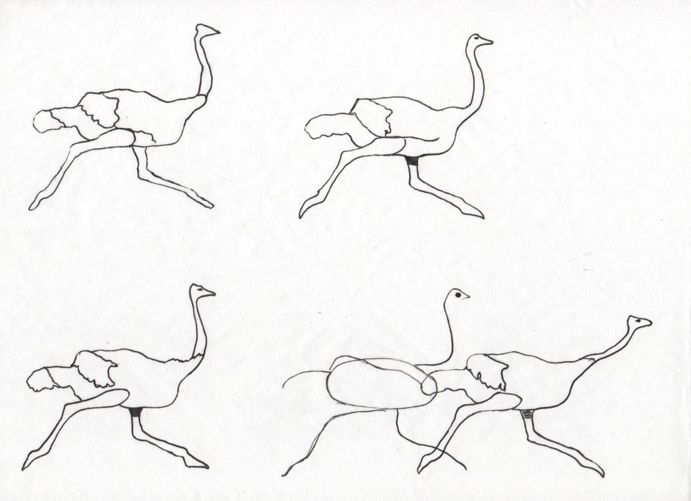 Ola Ostrich is Fast - image 3 - student project