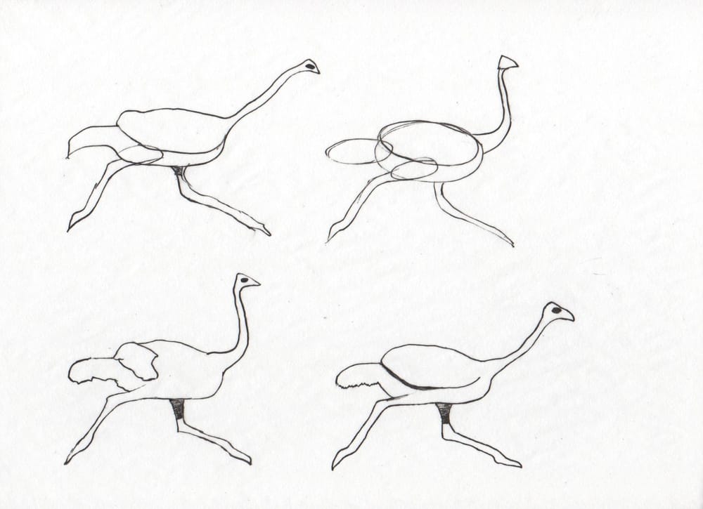 Ola Ostrich is Fast - image 4 - student project