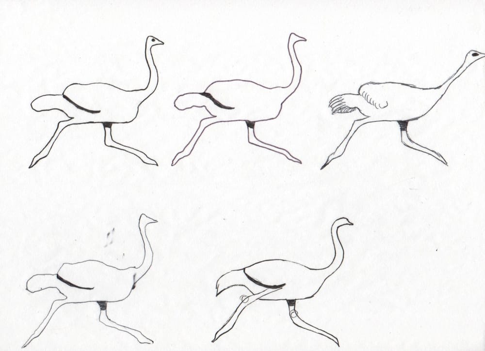Ola Ostrich is Fast - image 5 - student project