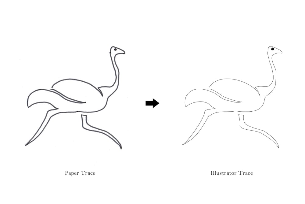 Ola Ostrich is Fast - image 12 - student project