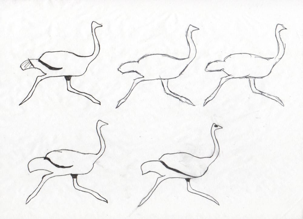 Ola Ostrich is Fast - image 6 - student project