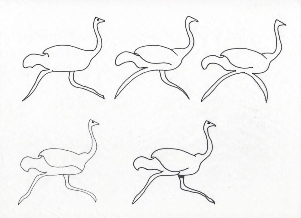 Ola Ostrich is Fast - image 7 - student project