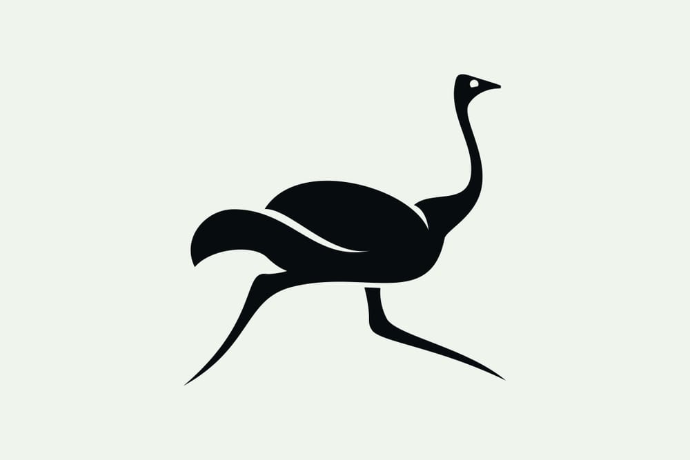 Ola Ostrich is Fast - image 13 - student project