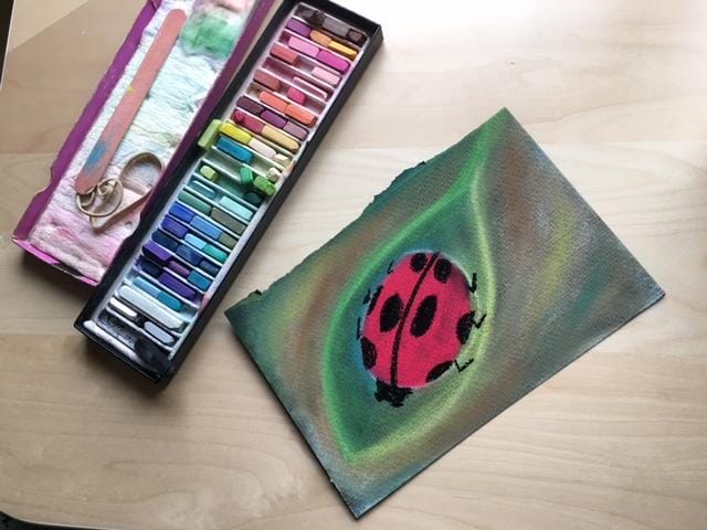 ladybug - image 1 - student project