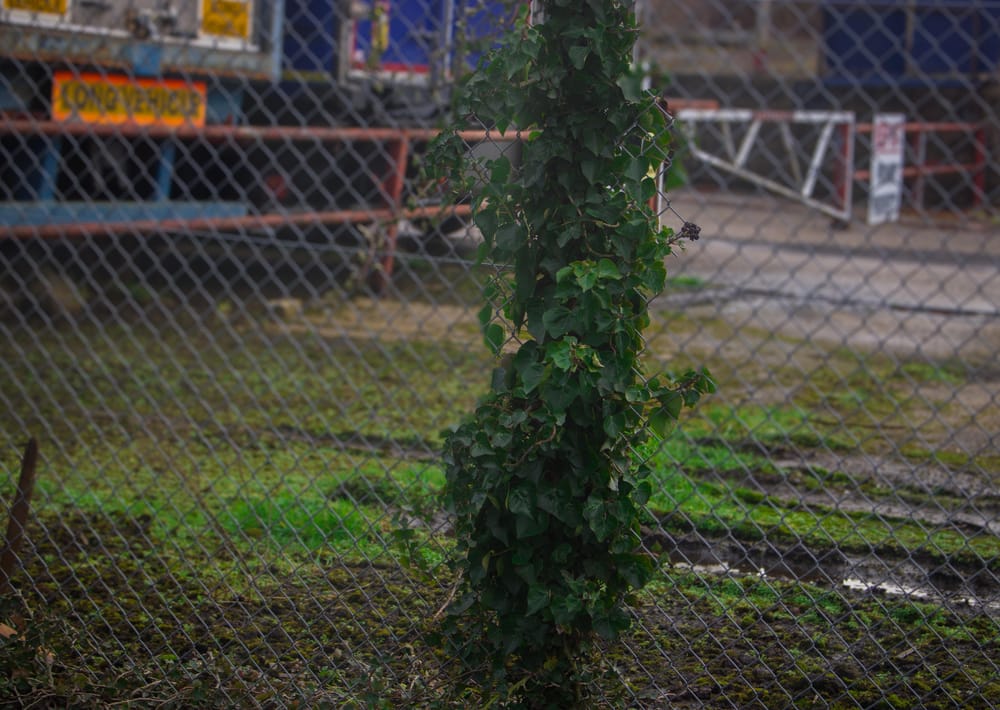 Signs of Nature - image 1 - student project