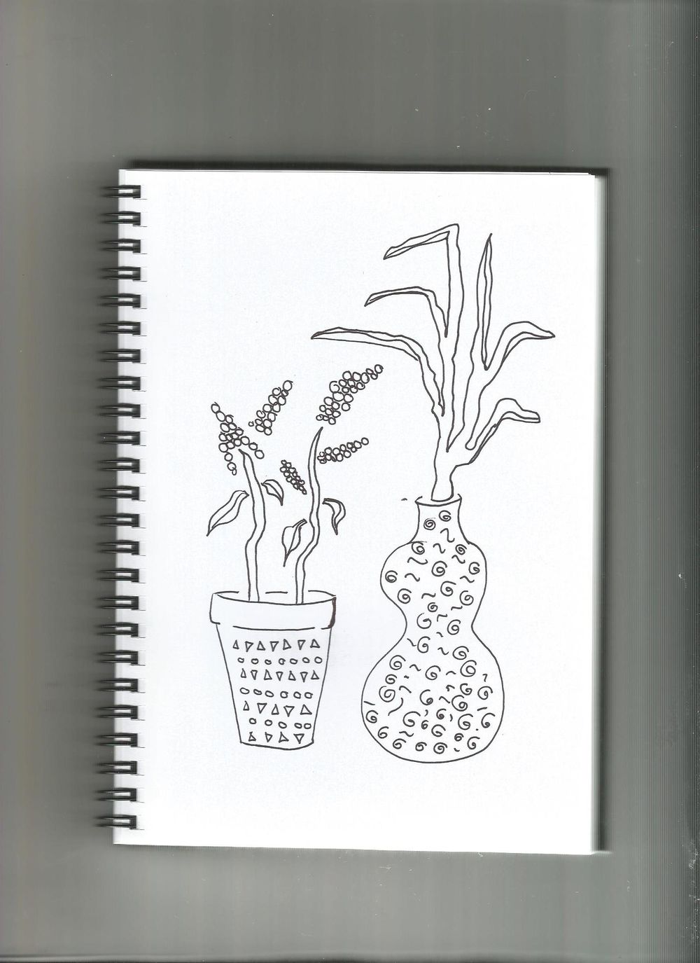 Garden Adventures and Plant Illustrations - image 2 - student project