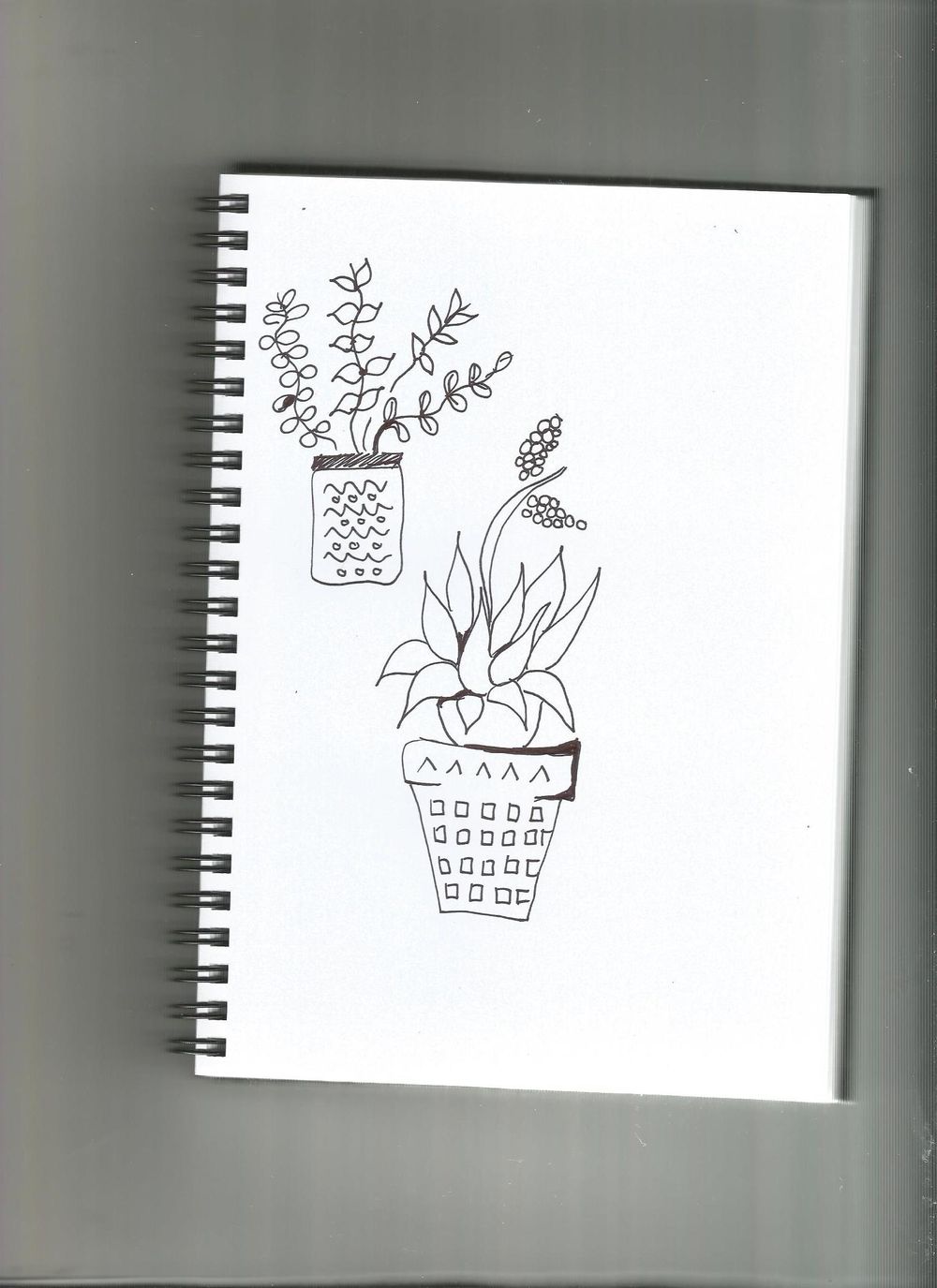 Garden Adventures and Plant Illustrations - image 3 - student project