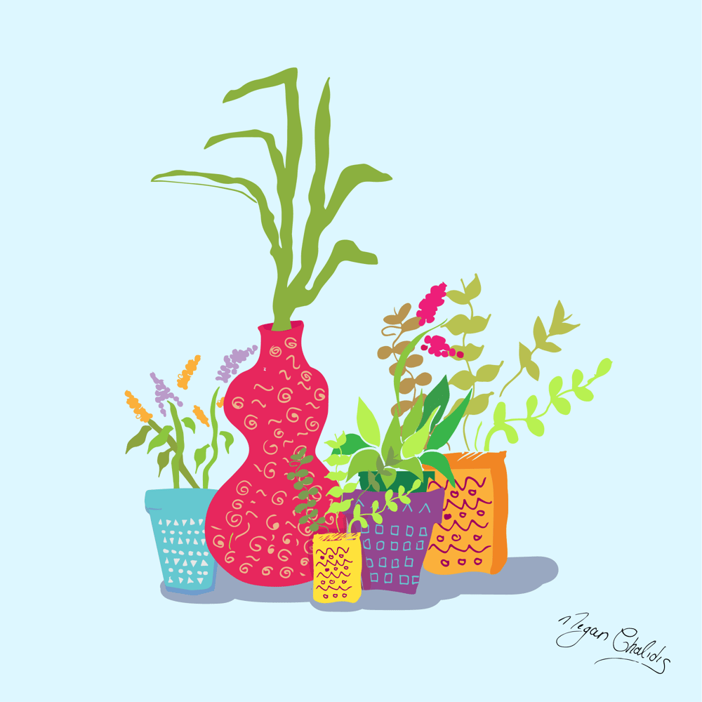 Garden Adventures and Plant Illustrations - image 1 - student project
