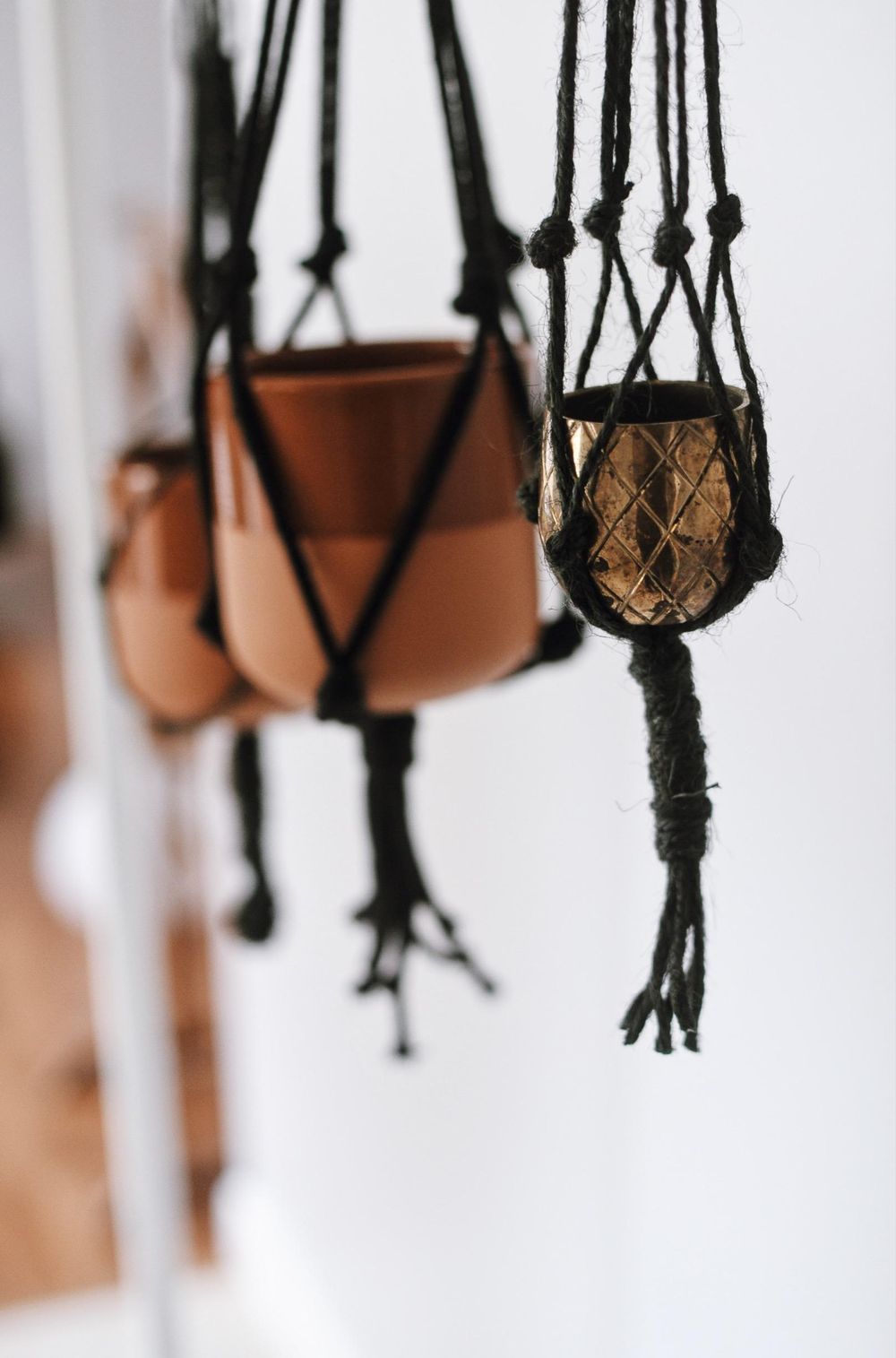 Planter Hanger Crazy - image 4 - student project