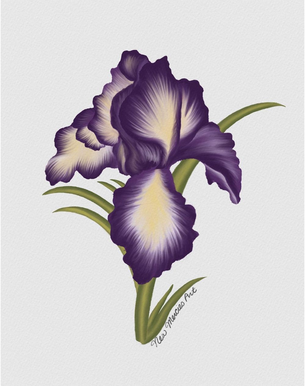 Rachel Watercolor Ink Iris | Skillshare Student Project