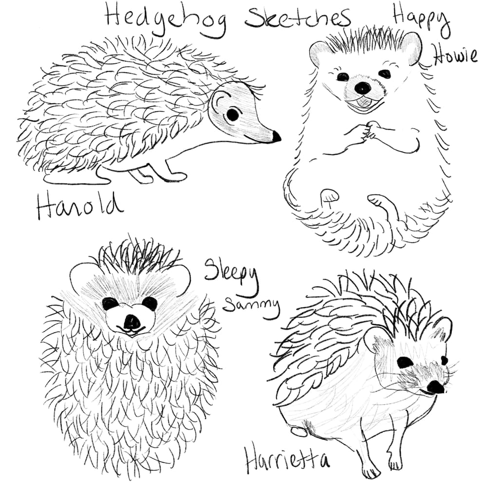 Rachel’s Hedgehogs - image 2 - student project