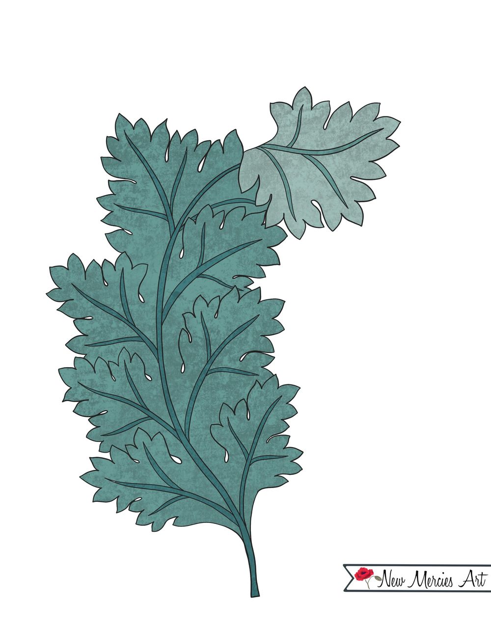 My acanthus drawings. | Skillshare Student Project