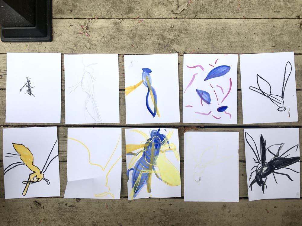 Creativity and the Wasp - image 1 - student project