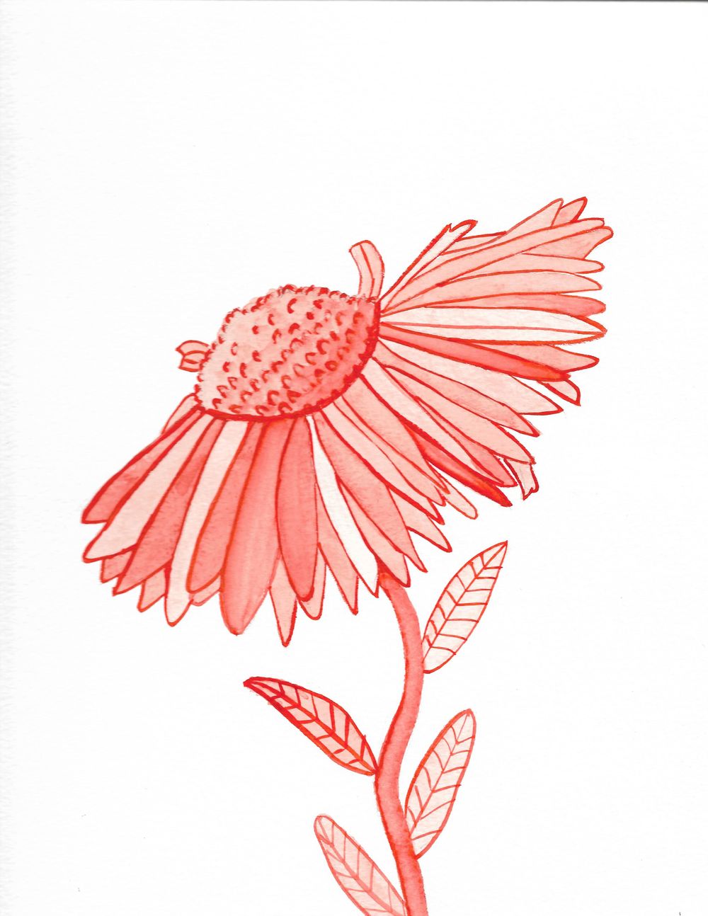 Sunflower and Jellies - image 3 - student project