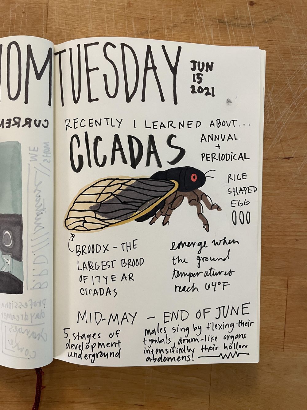 emily b - 14 days of journaling - image 2 - student project