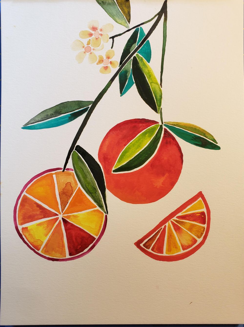 Citrus Fruits - image 1 - student project