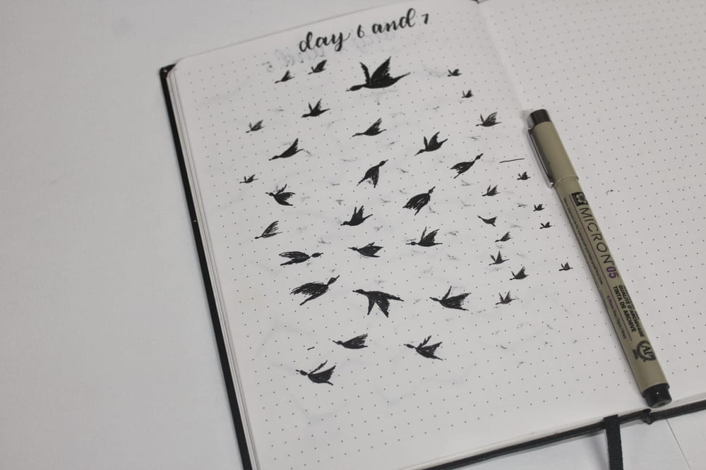 To add bird in a painting - image 9 - student project