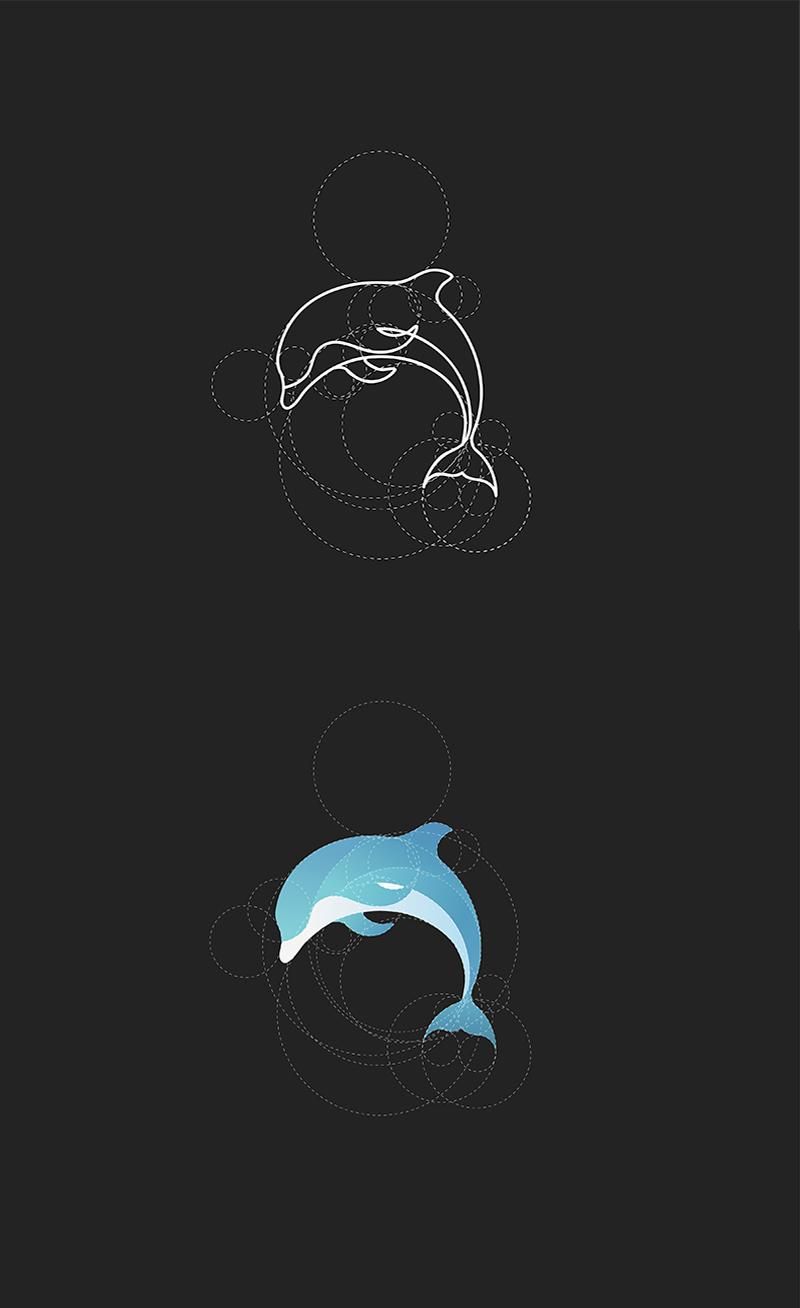 Dolphin - image 3 - student project