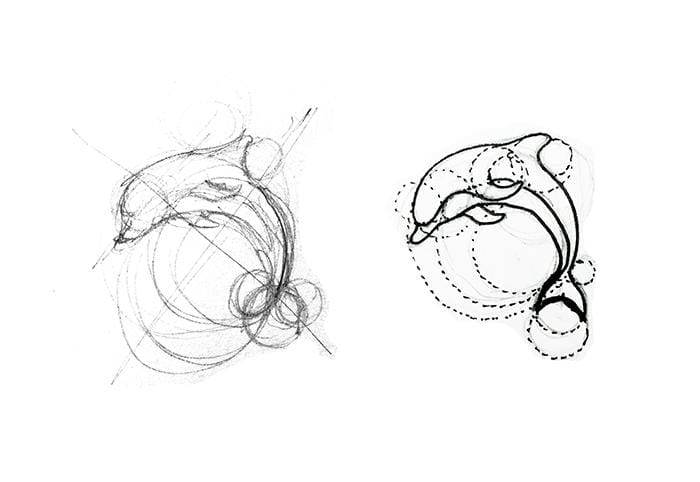 Dolphin - image 2 - student project