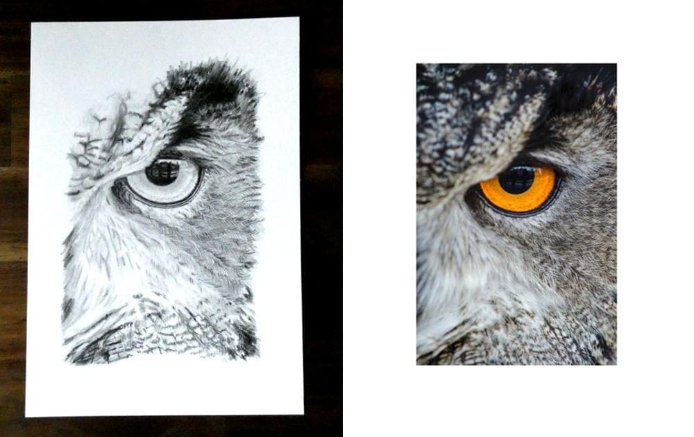 Glossy Gaze - image 1 - student project